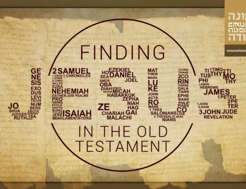 Picture of Christ in OT